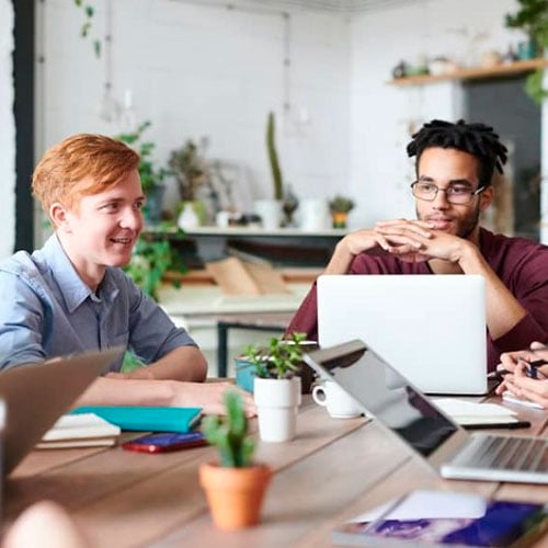 Project Standard 2021 Cd Key